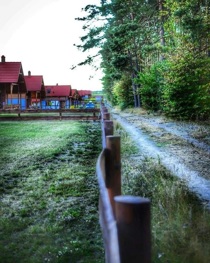 Lesna Ostoja Vila Borowy Mlyn Exterior foto