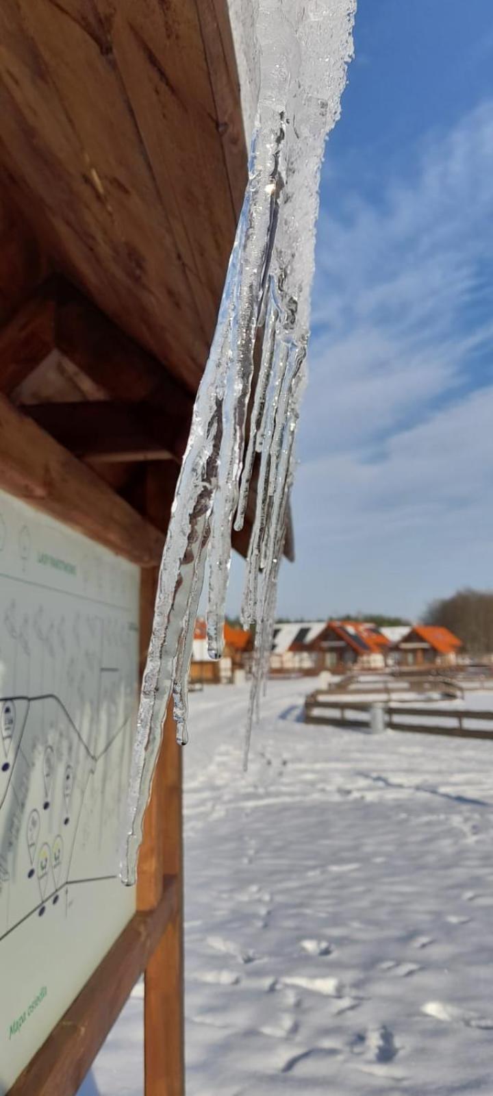 Lesna Ostoja Vila Borowy Mlyn Exterior foto